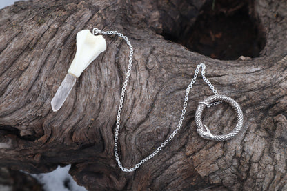 Domestic Cat Humerus Pendulum with Ouroboros Ring