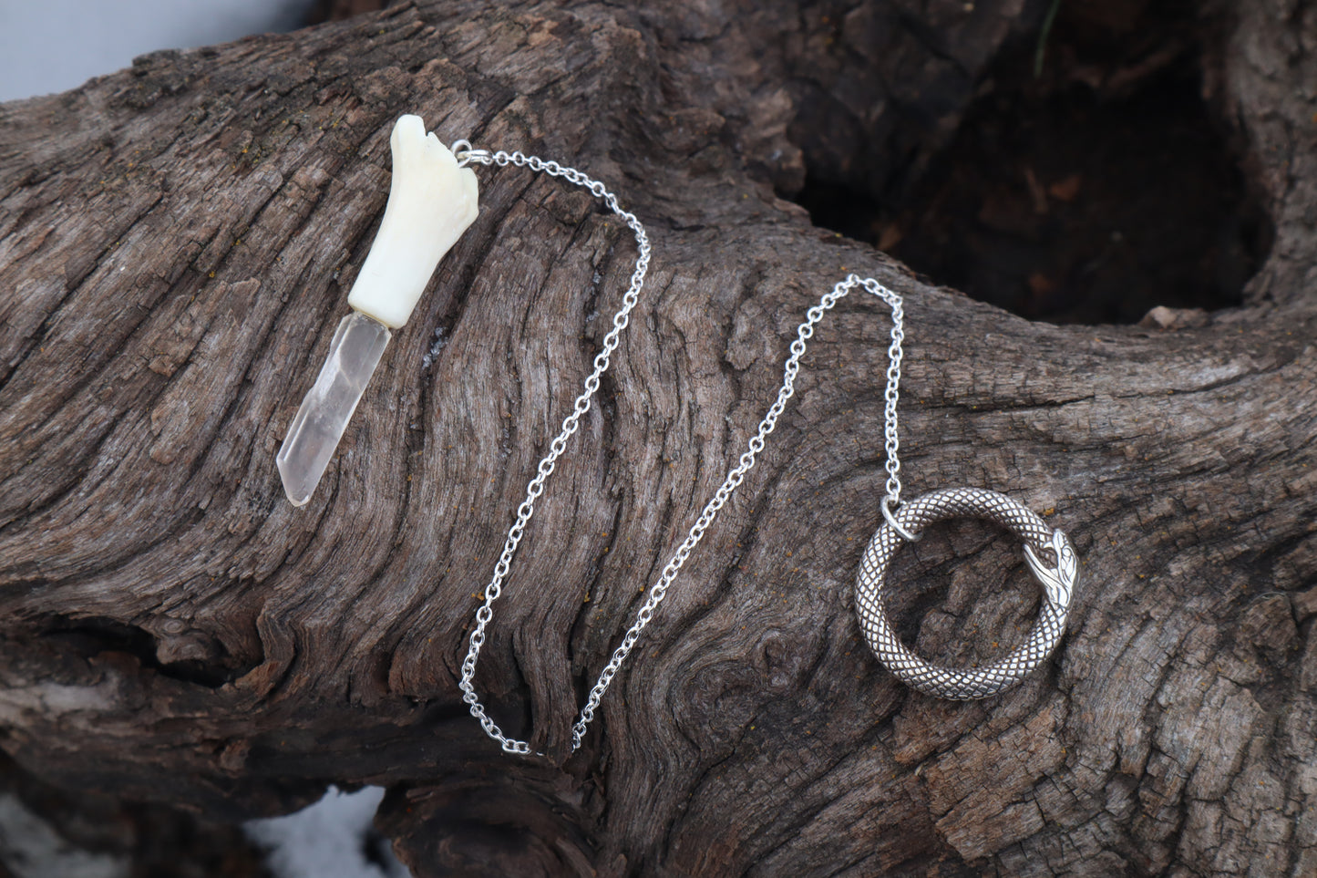 Domestic Cat Tibia Pendulum with Ouroboros Ring
