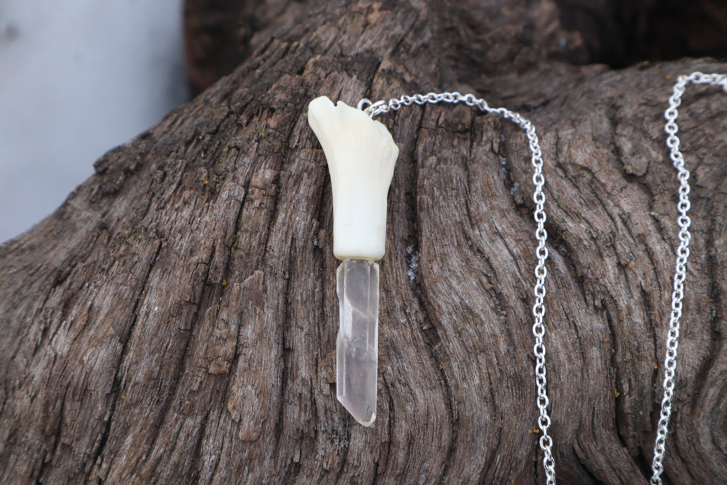 Domestic Cat Tibia Pendulum with Ouroboros Ring