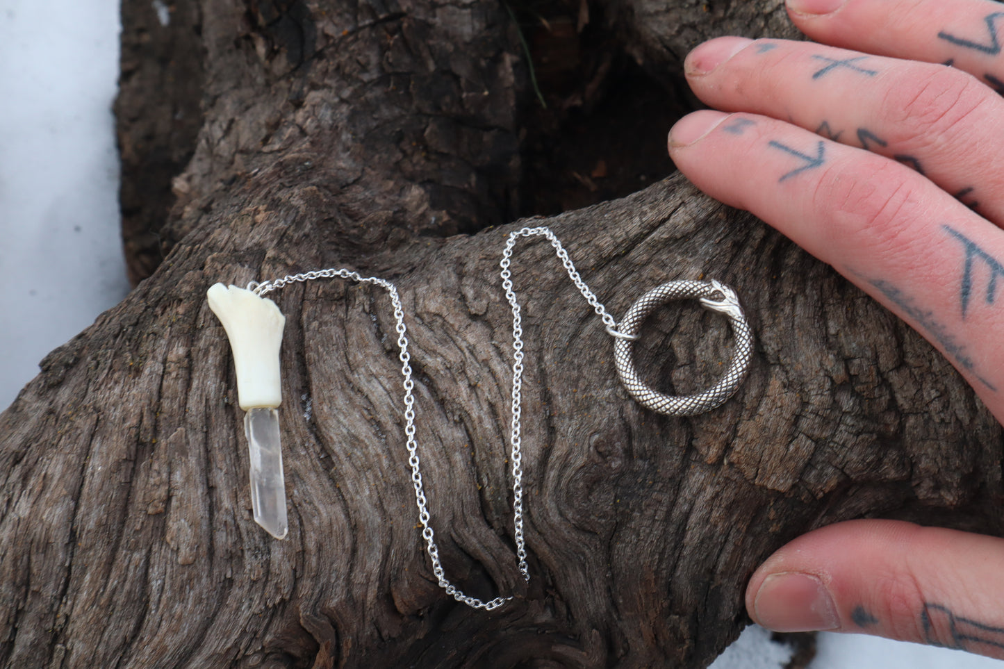 Domestic Cat Tibia Pendulum with Ouroboros Ring