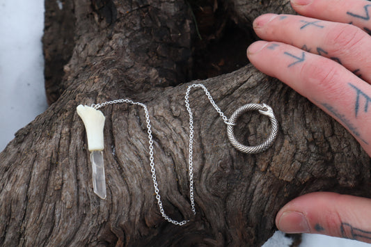 Domestic Cat Tibia Pendulum with Ouroboros Ring