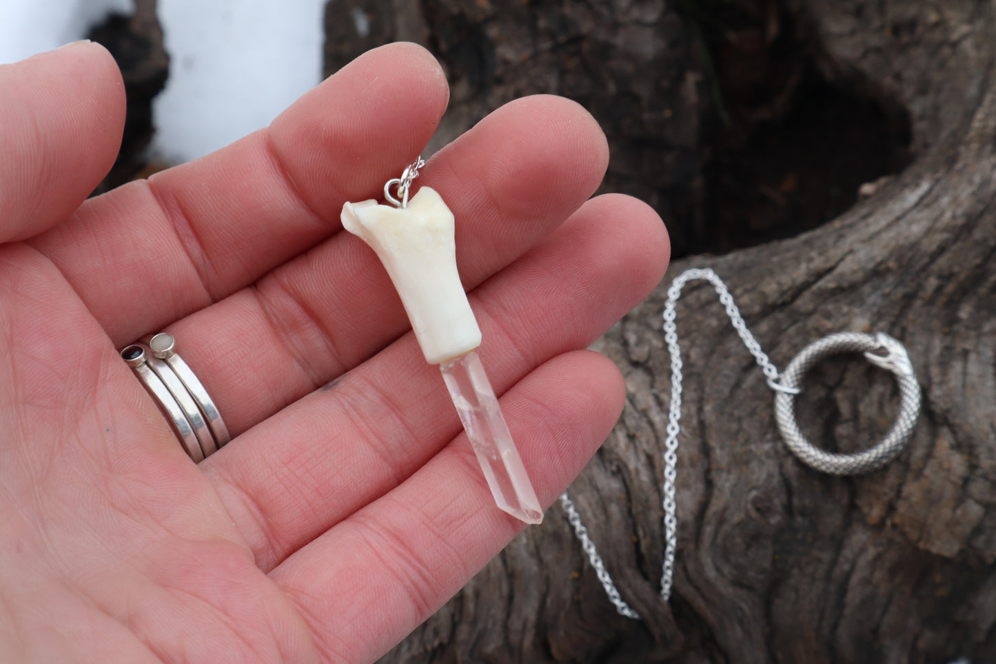 Domestic Cat Tibia Pendulum with Ouroboros Ring
