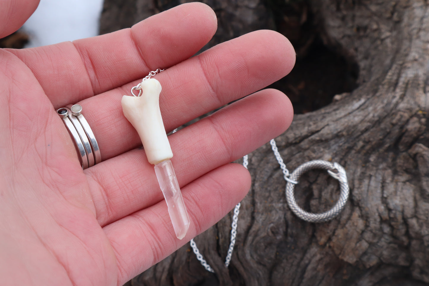 Domestic Cat Tibia Pendulum with Ouroboros Ring
