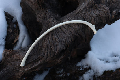 Wolf Rib