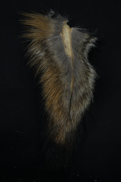 Fox Tail