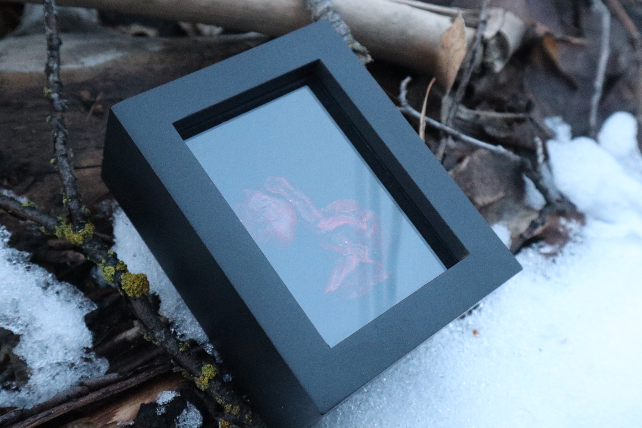 Dry Preserved Cottontail Rabbit Heart and Lungs – Freyja's Forest