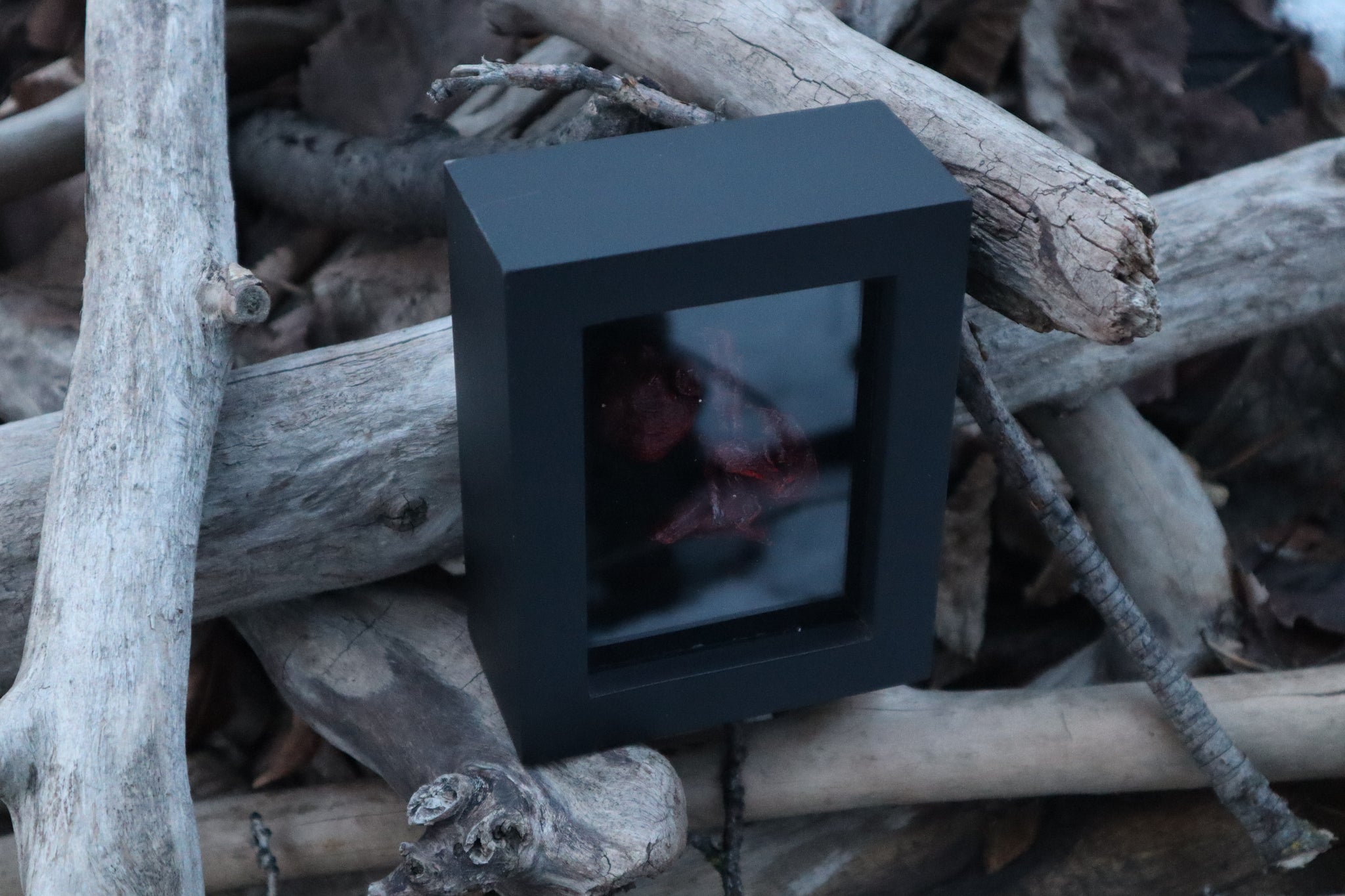 Dry Preserved Cottontail Rabbit Heart and Lungs – Freyja's Forest