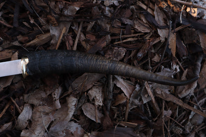Goat Horn Hatchet