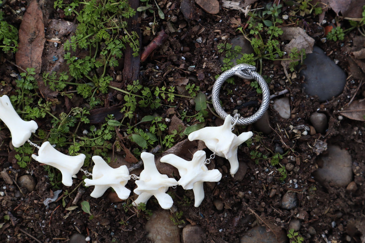 Fluid Gray Wolf Tail Articulation with Ouroboros Ring