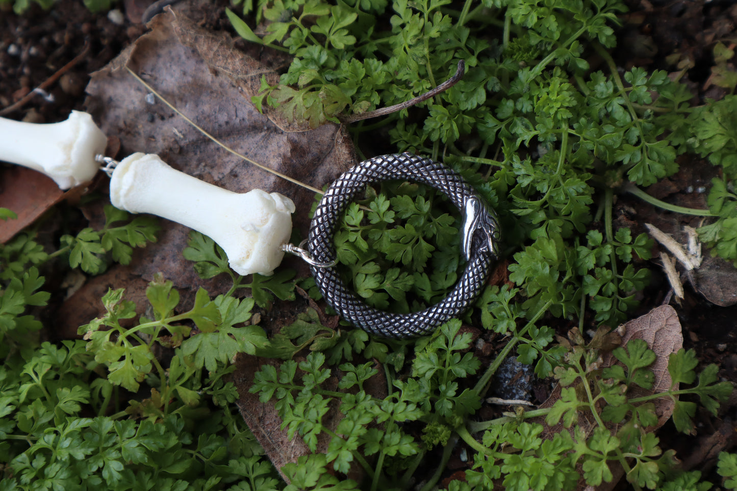 Fluid Juvenile Gray Wolf Tail Articulation with Ouroboros Ring