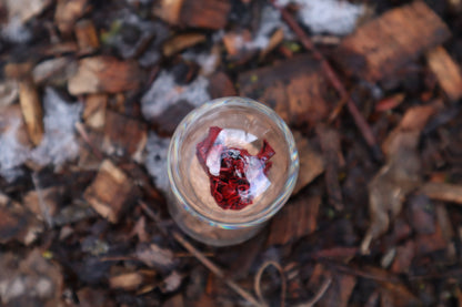 Dry Preserved Kitten Heart and Lungs