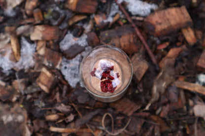 Dry Preserved Kitten Heart and Lungs