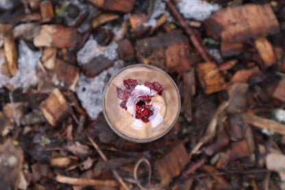 Dry Preserved Kitten Heart and Lungs