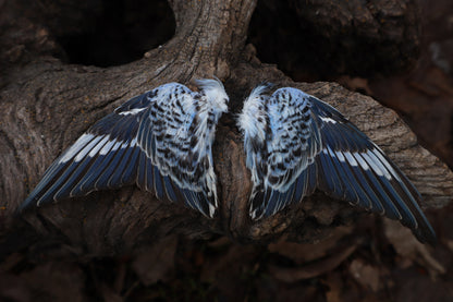Dry Preserved Parakeet Wings