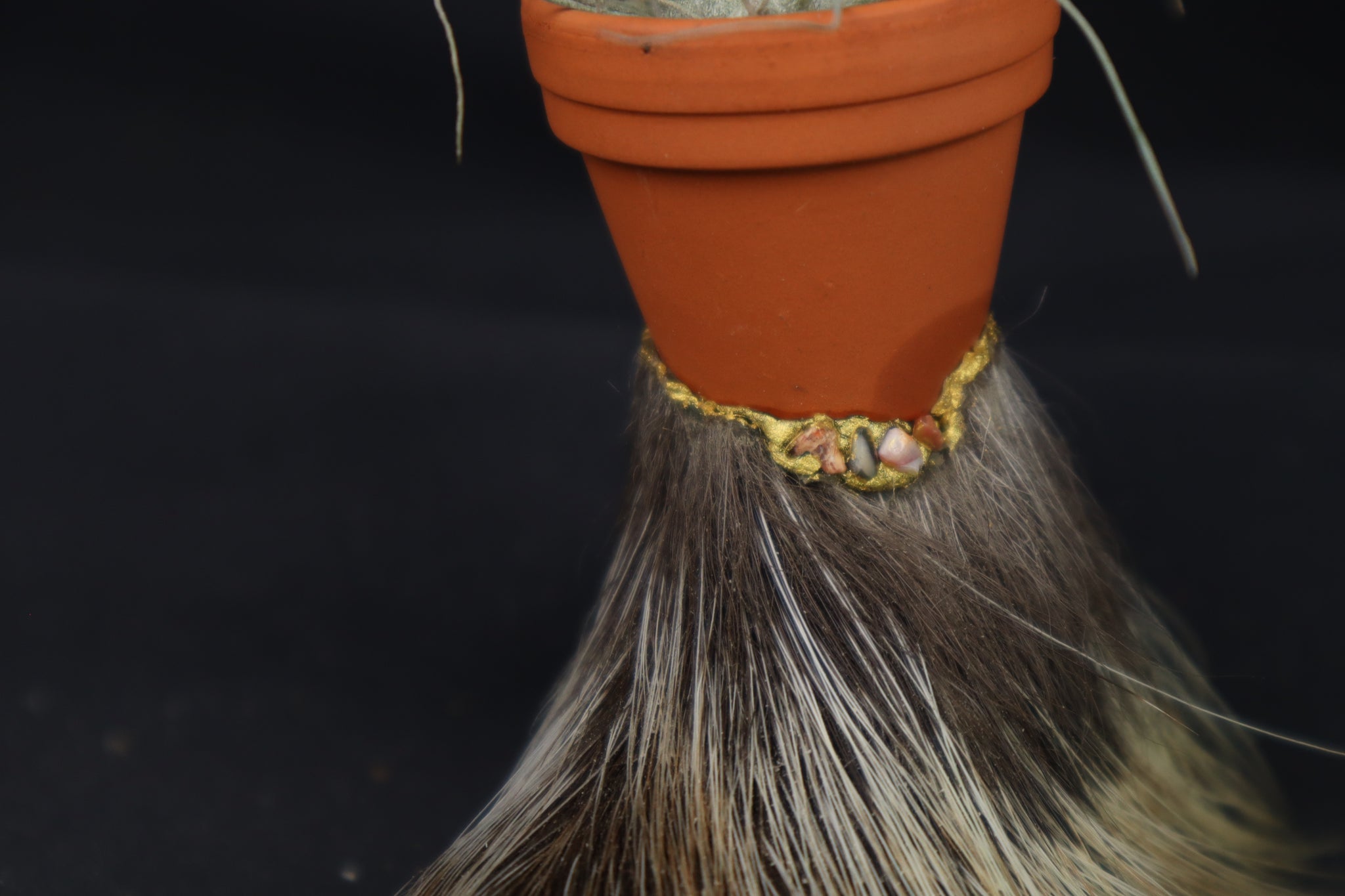 Porcupine Foot Planter with Fuchsii v gracilis