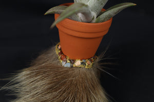 Porcupine Foot Planter with Tillandsia Capitata Peach