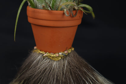 Porcupine Foot Planter with Purple Ionantha