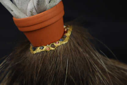 Porcupine Foot Planter with Tillandsia harrisii