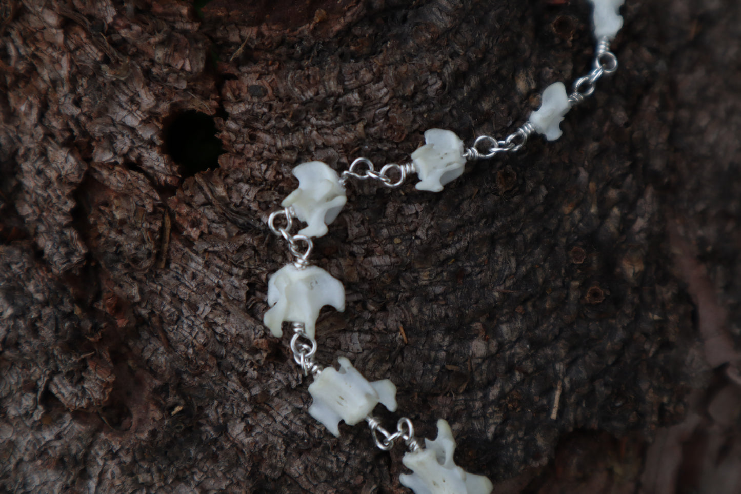 Fluid Rabbit Tail Articulation with Ouroboros Ring