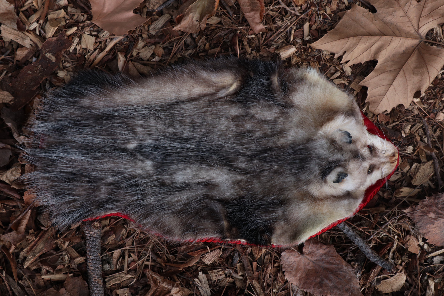 Opossum Altar Topper