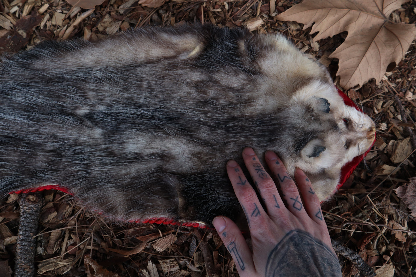 Opossum Altar Topper
