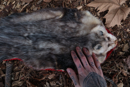 Opossum Altar Topper