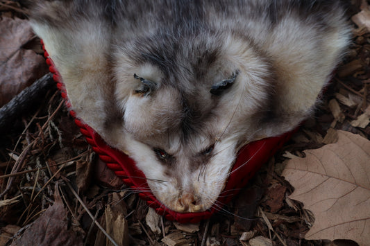 Opossum Altar Topper