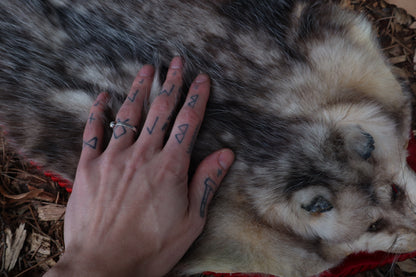 Opossum Altar Topper