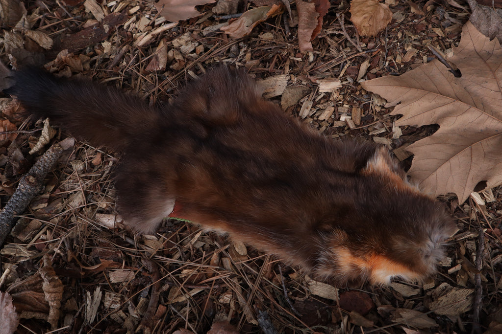 Pine Marten Altar Topper