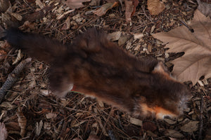 Pine Marten Altar Topper