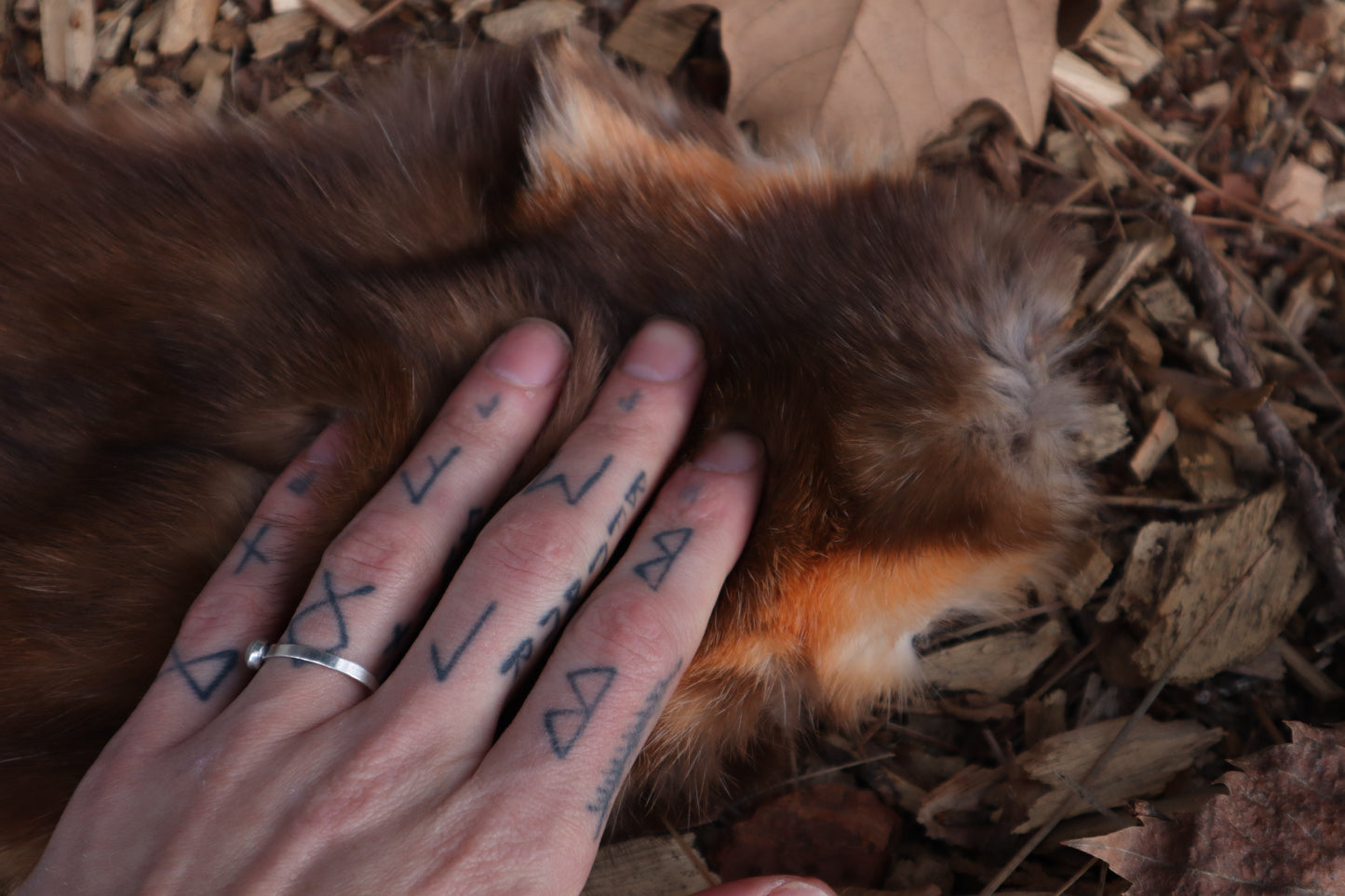 Pine Marten Altar Topper