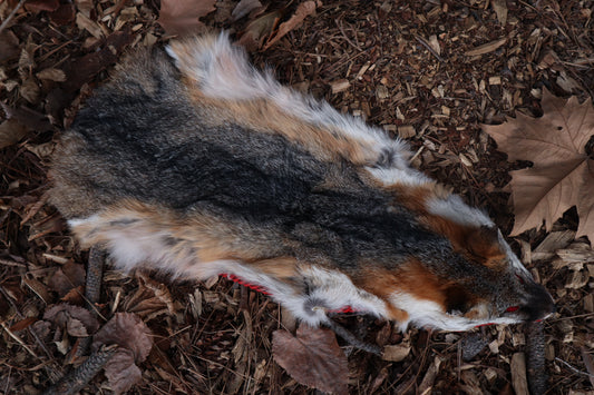 Gray Fox Altar Topper