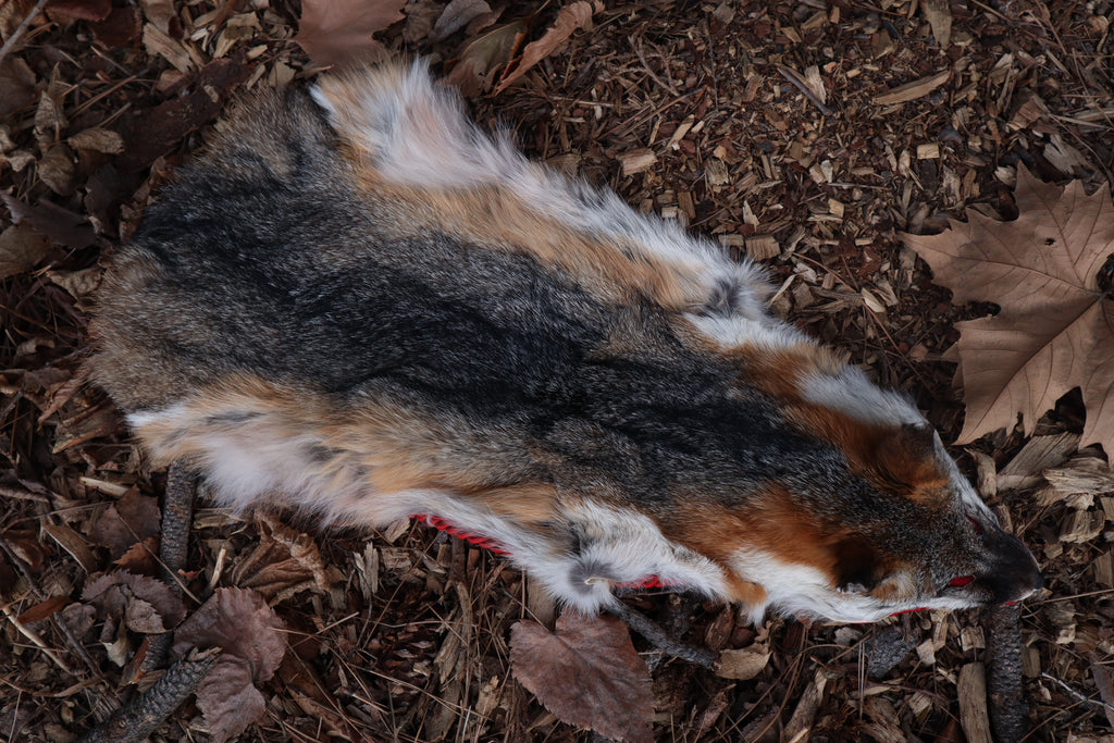 Gray Fox Altar Topper