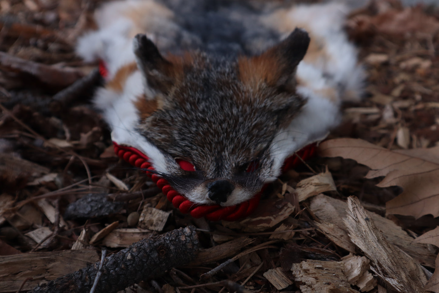 Gray Fox Altar Topper