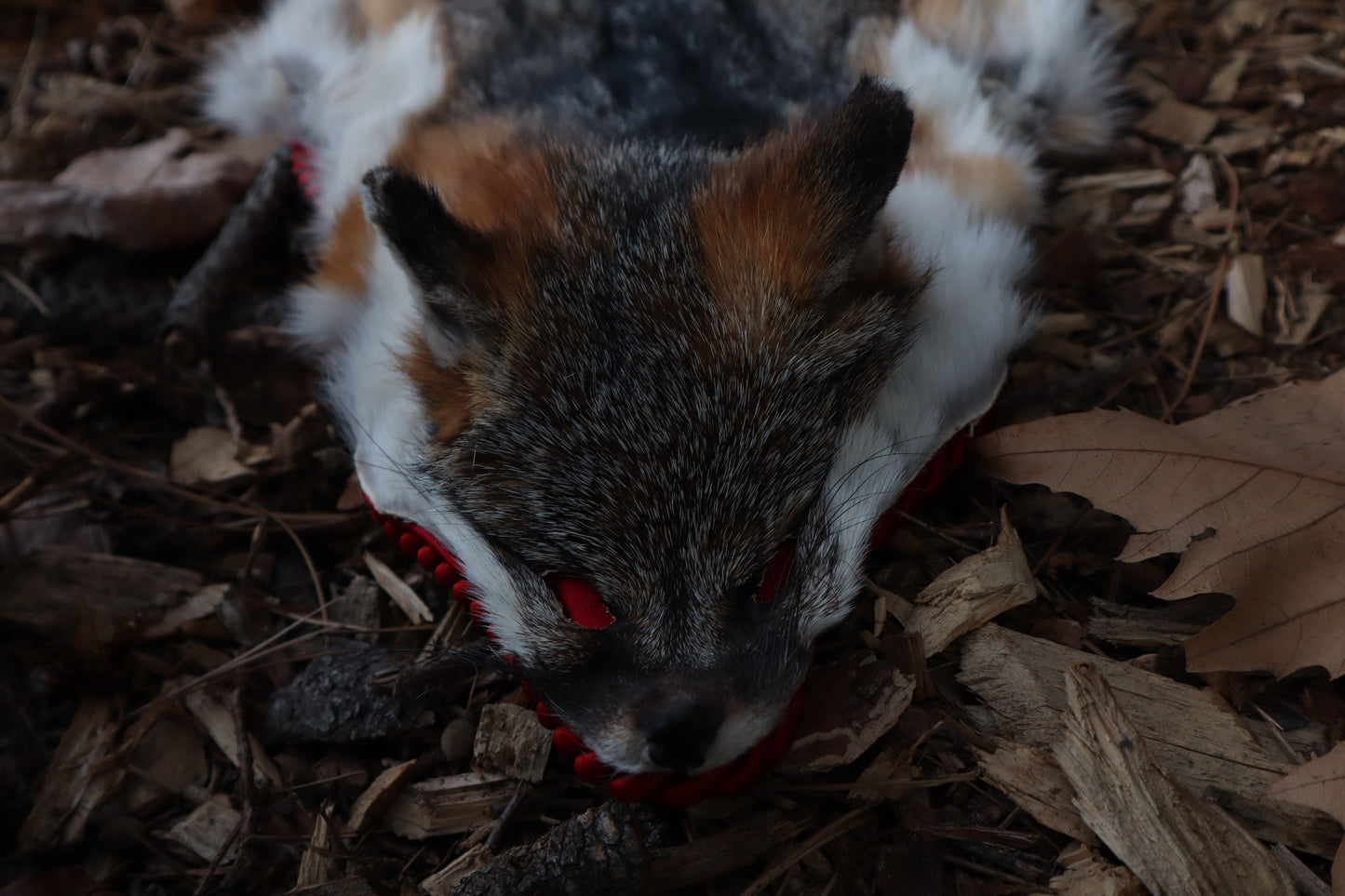 Gray Fox Altar Topper