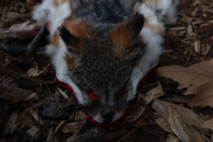 Gray Fox Altar Topper