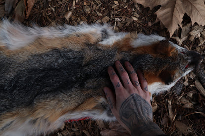 Gray Fox Altar Topper