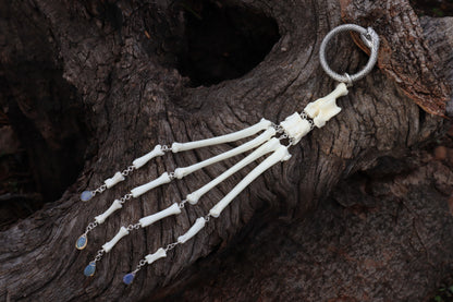 Fluid Red Fox Paw Articulation with Opal “Claws”