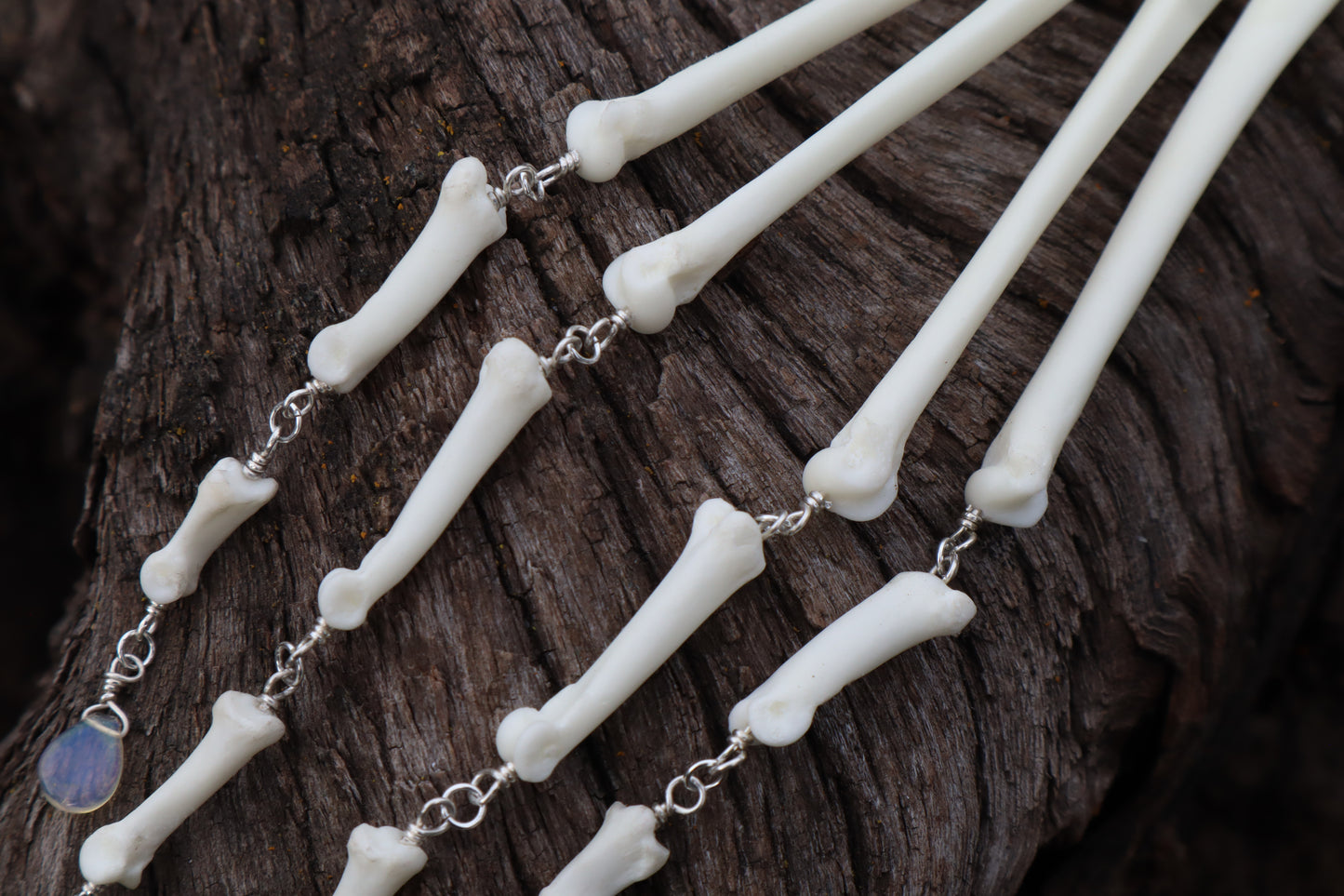 Fluid Red Fox Paw Articulation with Opal “Claws”