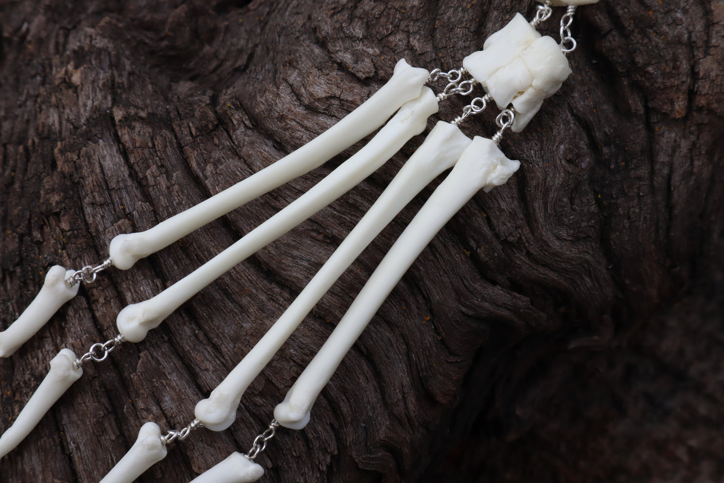 Fluid Red Fox Paw Articulation with Opal “Claws”