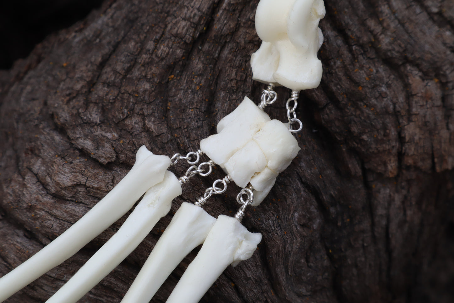 Fluid Red Fox Paw Articulation with Opal “Claws”
