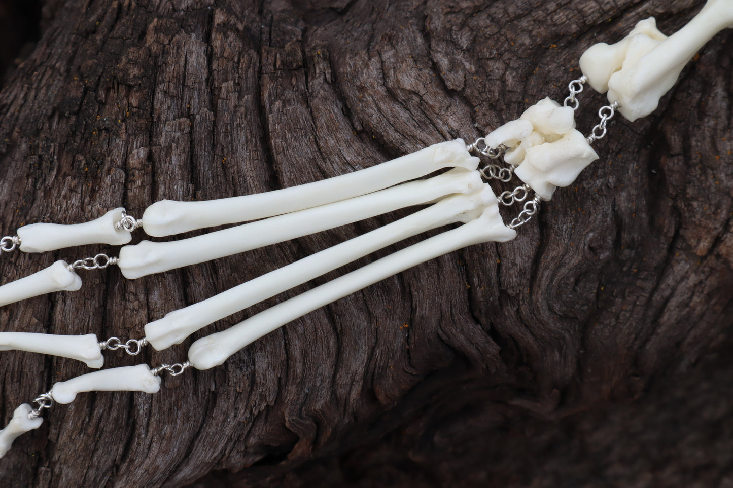 Fluid Red Fox Paw Articulation with Opal “Claws”