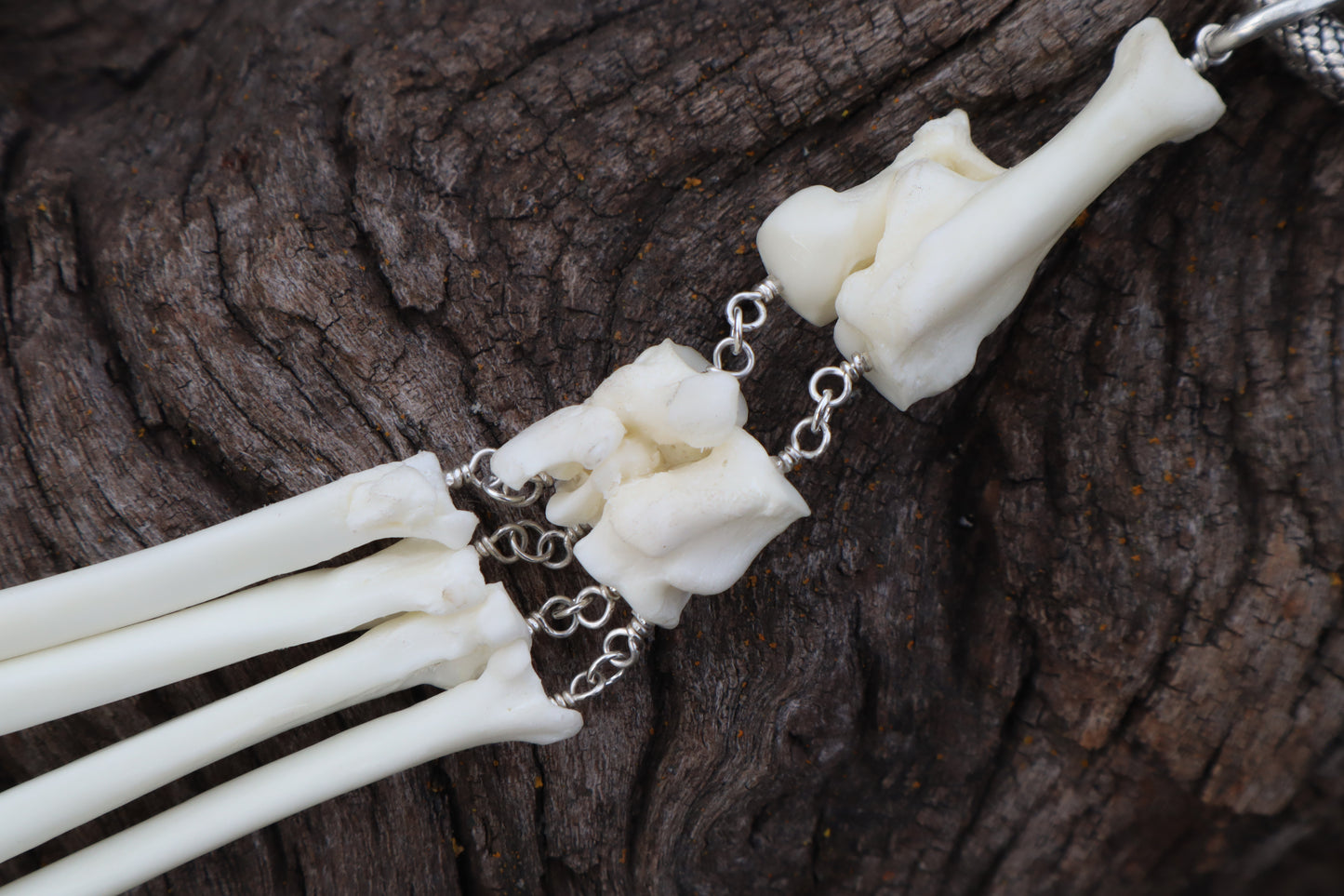 Fluid Red Fox Paw Articulation with Opal “Claws”