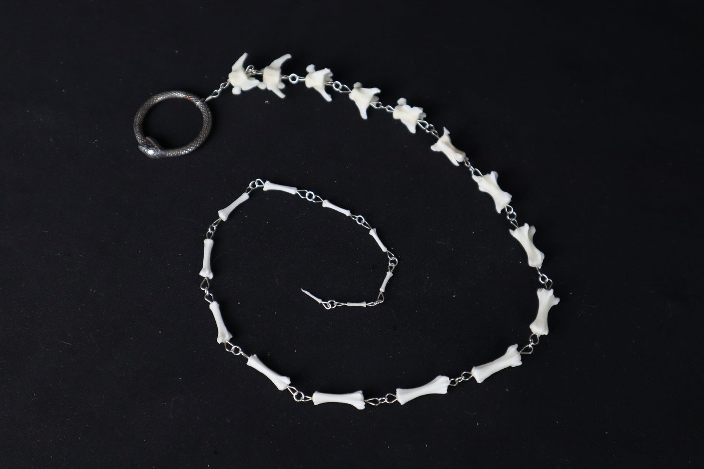 Fluid Domestic Cat Tail Articulation with Ouroboros Ring