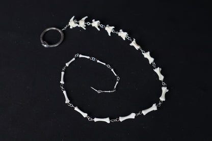 Fluid Domestic Cat Tail Articulation with Ouroboros Ring
