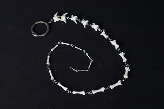 Fluid Domestic Cat Tail Articulation with Ouroboros Ring