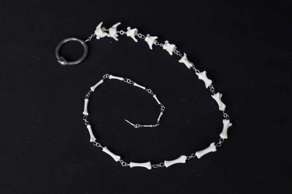 Fluid Domestic Cat Tail Articulation with Ouroboros Ring