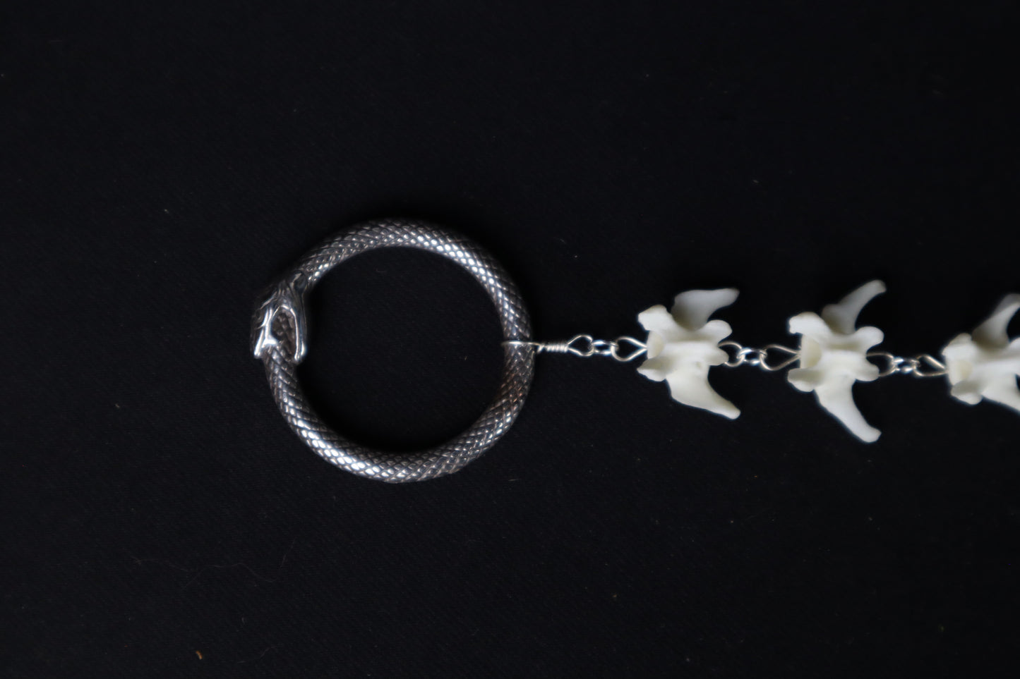 Fluid Domestic Cat Tail Articulation with Ouroboros Ring