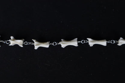 Fluid Domestic Cat Tail Articulation with Ouroboros Ring