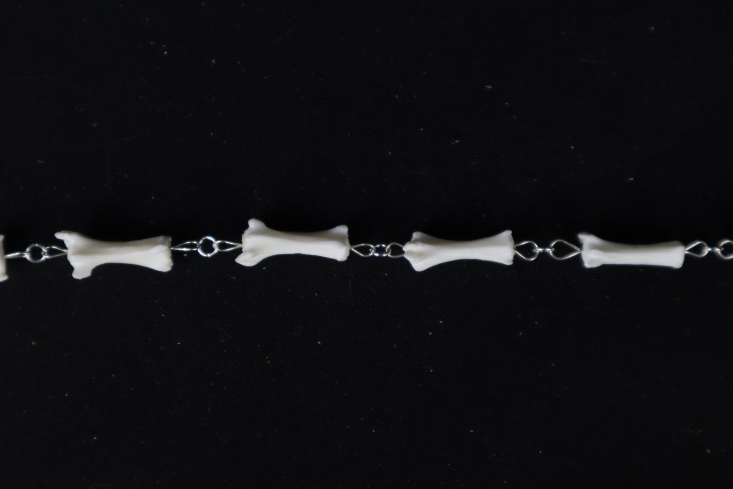 Fluid Domestic Cat Tail Articulation with Ouroboros Ring